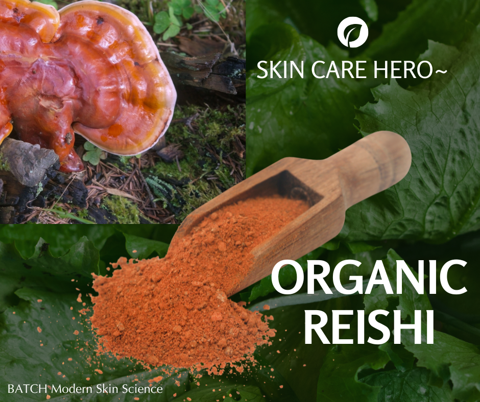 Why Organic Reishi Mushroom Is a Game Changer for Aging Skin