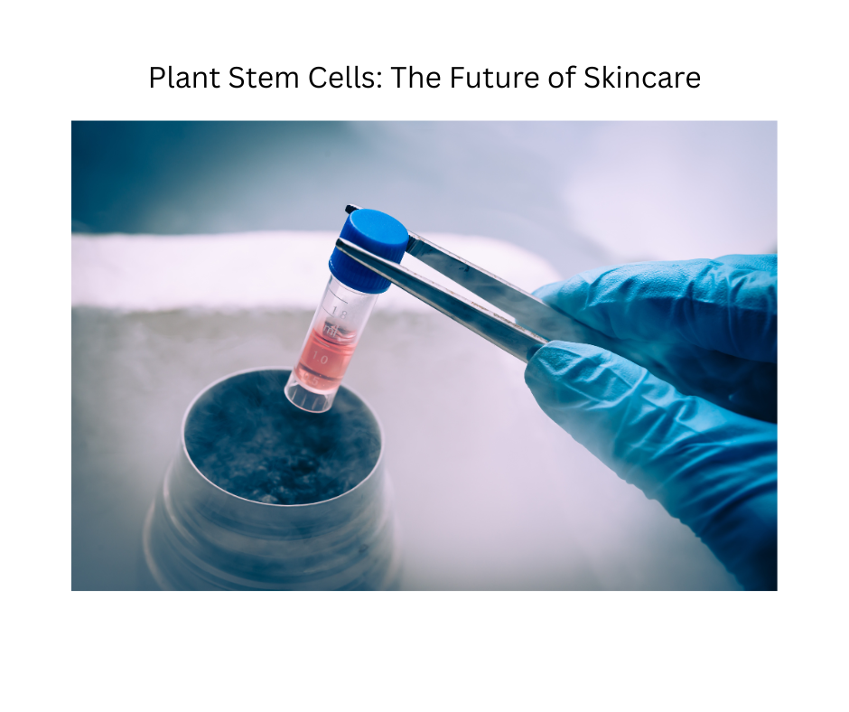 Unlocking Youth Naturally: The Power of Plant Stem Cells in Skincare